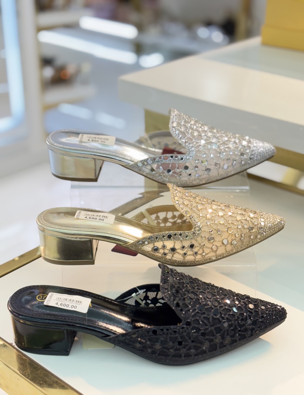 IMG_3495 Mule / 126-14 – Image 1