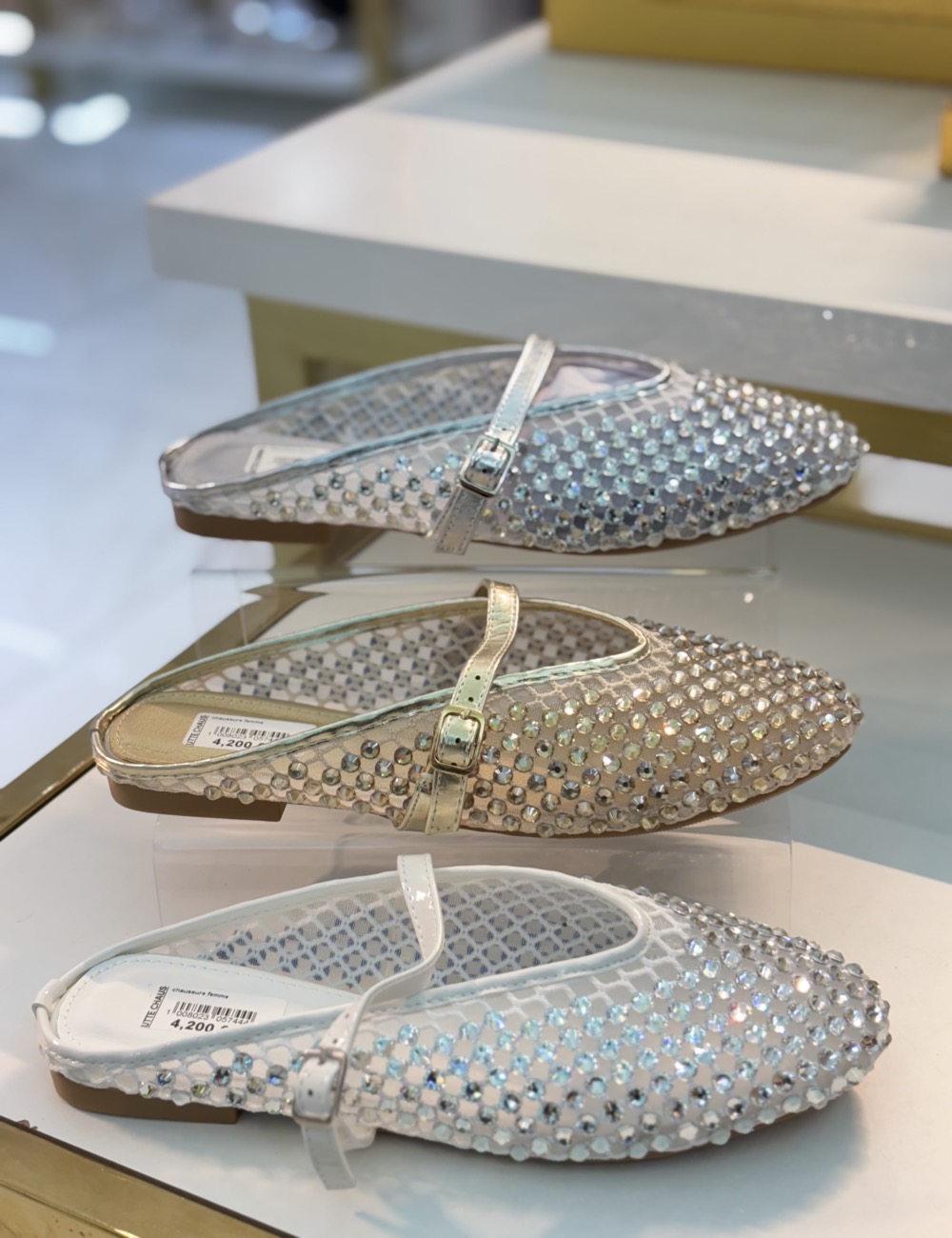 IMG_3514 Mule / H201 – Image 1