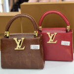 SAC À MAIN LOUIS VUITTON 22cm